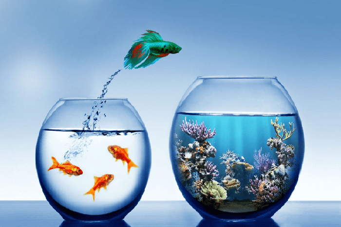 data-migration data-migration